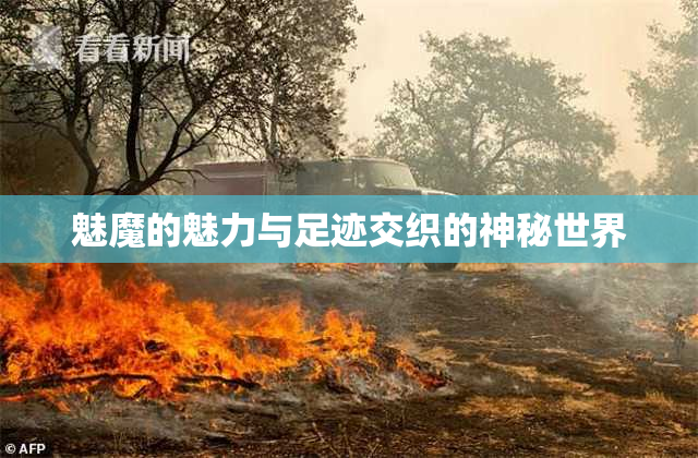 魅魔的魅力与足迹交织的神秘世界