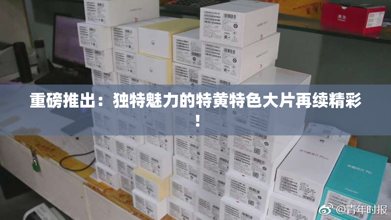 重磅推出：独特魅力的特黄特色大片再续精彩！
