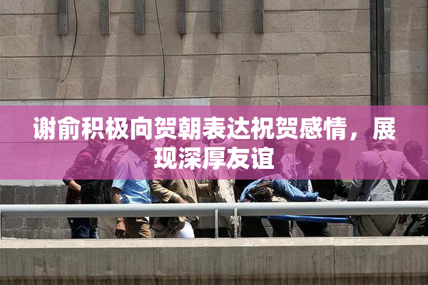 谢俞积极向贺朝表达祝贺感情，展现深厚友谊