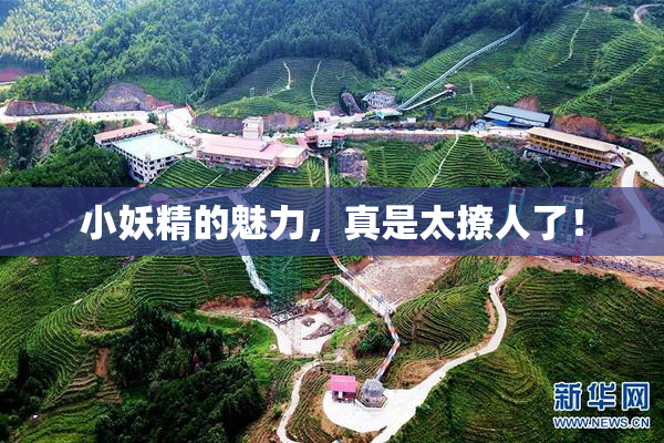 小妖精的魅力，真是太撩人了！