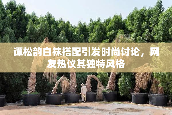 谭松韵白袜搭配引发时尚讨论，网友热议其独特风格