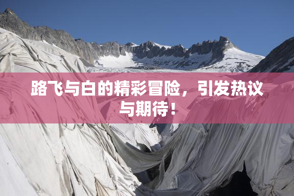 路飞与白的精彩冒险，引发热议与期待！