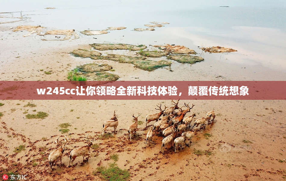 w245cc让你领略全新科技体验，颠覆传统想象