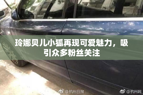玲娜贝儿小狐再现可爱魅力，吸引众多粉丝关注