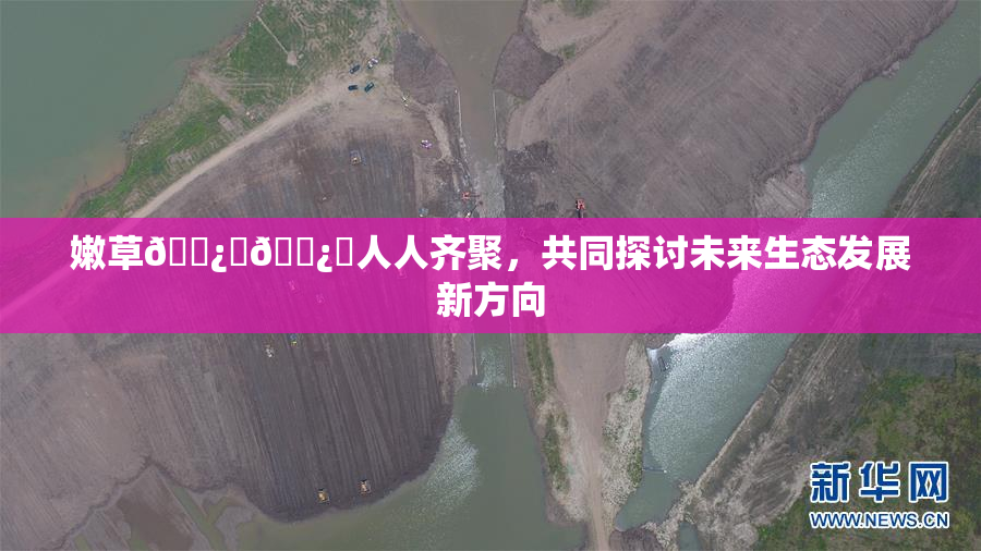 嫩草🌿‌🌿‌人人齐聚，共同探讨未来生态发展新方向