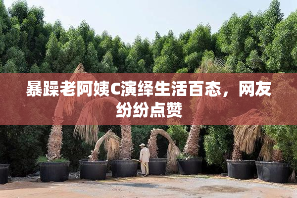 暴躁老阿姨C演绎生活百态，网友纷纷点赞