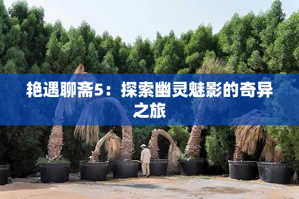 艳遇聊斋5：探索幽灵魅影的奇异之旅