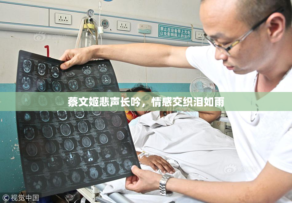 蔡文姬悲声长吟，情感交织泪如雨