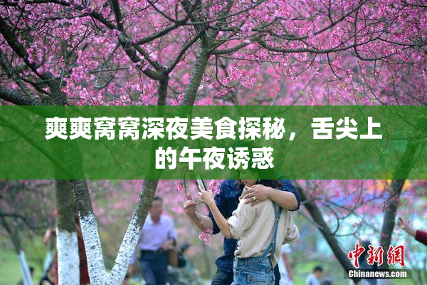 爽爽窝窝深夜美食探秘，舌尖上的午夜诱惑