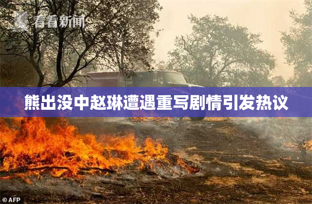 熊出没中赵琳遭遇重写剧情引发热议