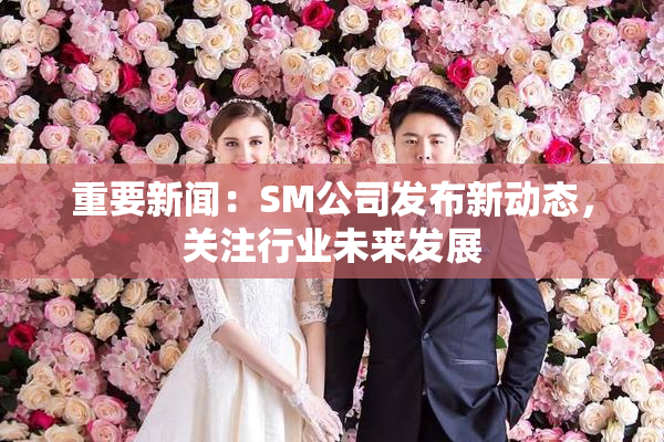 重要新闻：SM公司发布新动态，关注行业未来发展