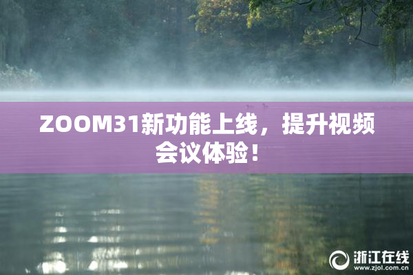 ZOOM31新功能上线，提升视频会议体验！