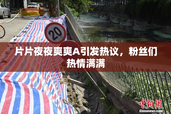 片片夜夜爽爽A引发热议，粉丝们热情满满