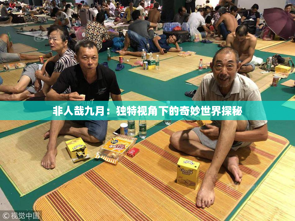 非人哉九月：独特视角下的奇妙世界探秘