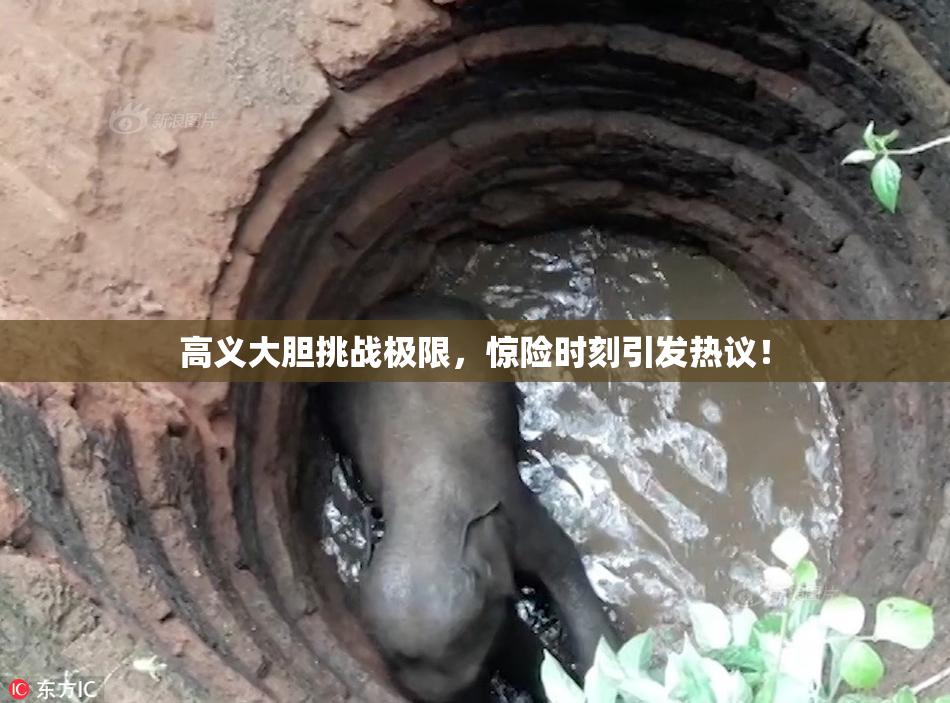 高义大胆挑战极限，惊险时刻引发热议！