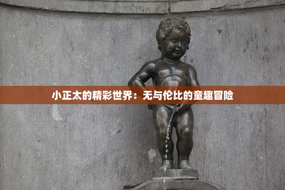 小正太的精彩世界：无与伦比的童趣冒险