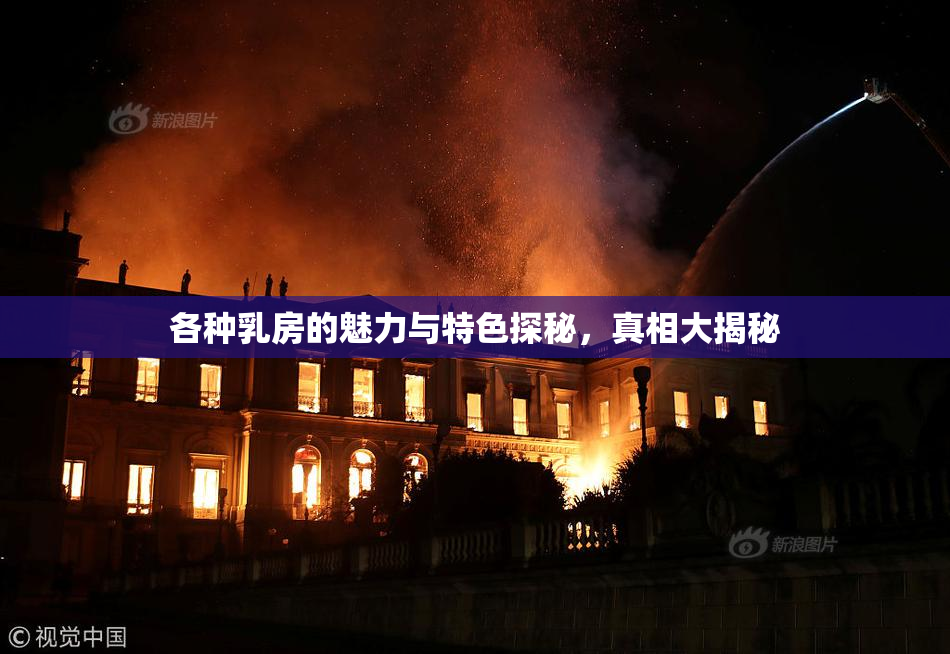 各种乳房的魅力与特色探秘，真相大揭秘