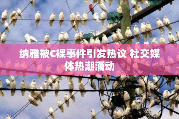 纳雅被C裸事件引发热议 社交媒体热潮涌动