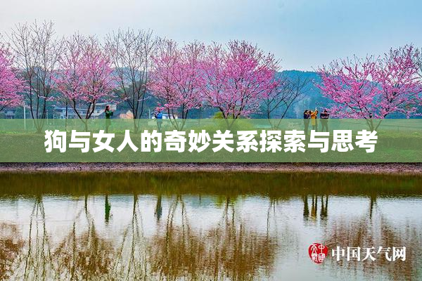 狗与女人的奇妙关系探索与思考