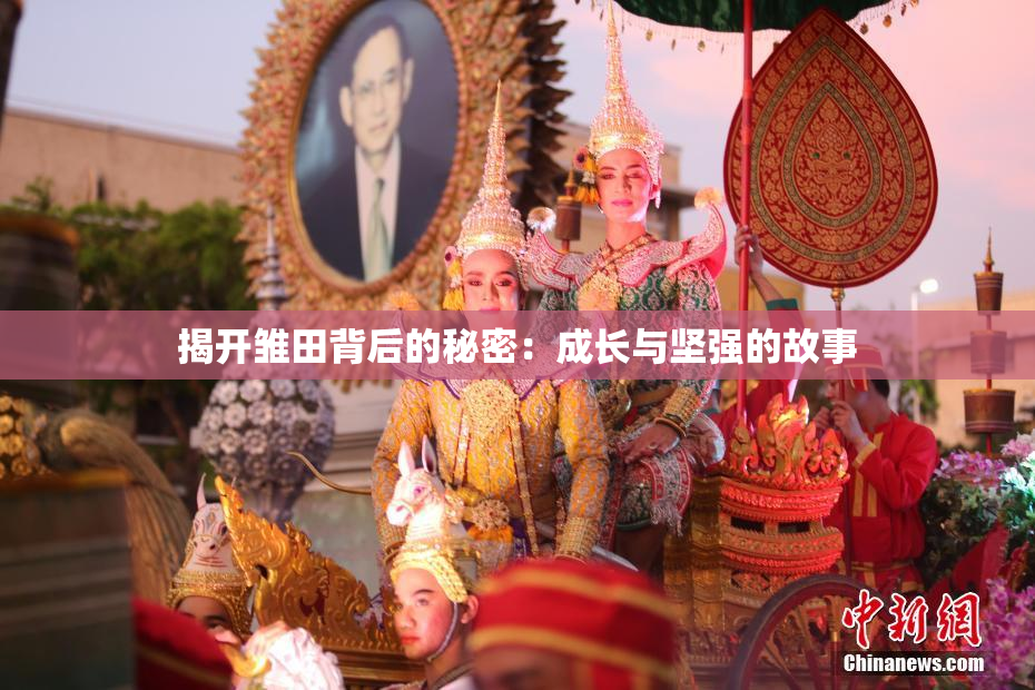 揭开雏田背后的秘密：成长与坚强的故事