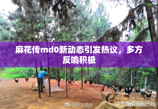 麻花传md0新动态引发热议，多方反响积极
