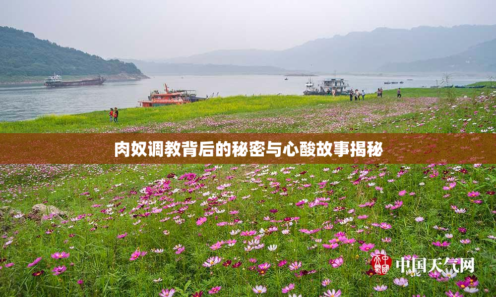 肉奴调教背后的秘密与心酸故事揭秘