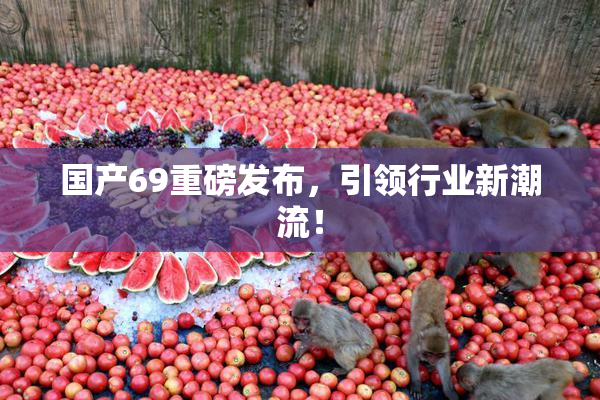 国产69重磅发布，引领行业新潮流！