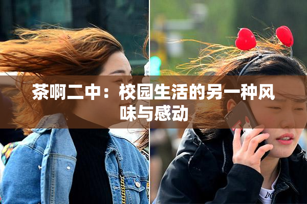 茶啊二中：校园生活的另一种风味与感动