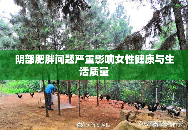 阴部肥胖问题严重影响女性健康与生活质量
