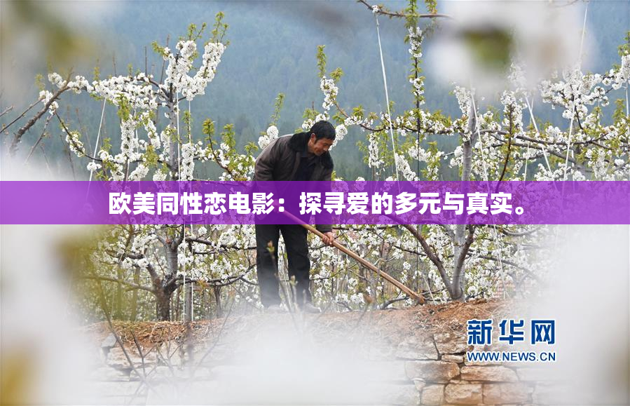 欧美同性恋电影：探寻爱的多元与真实。