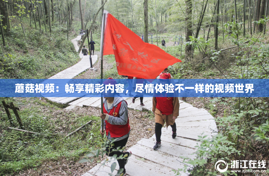 蘑菇视频：畅享精彩内容，尽情体验不一样的视频世界