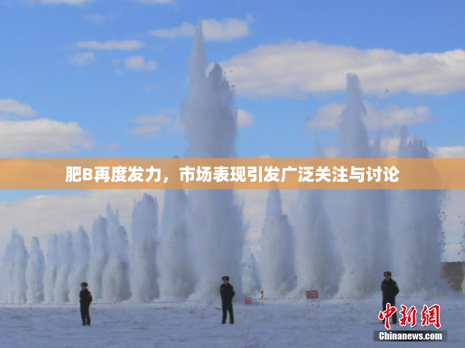 肥B再度发力，市场表现引发广泛关注与讨论