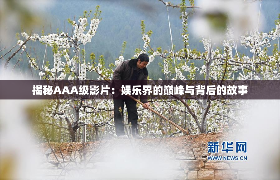 揭秘AAA级影片：娱乐界的巅峰与背后的故事