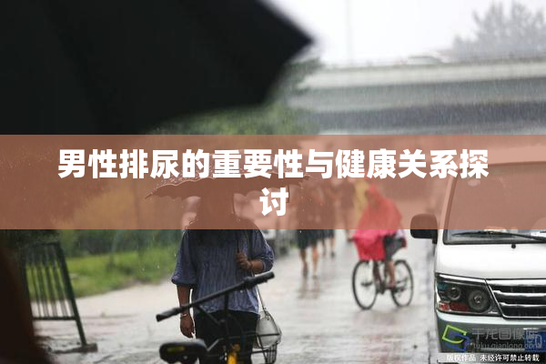 男性排尿的重要性与健康关系探讨