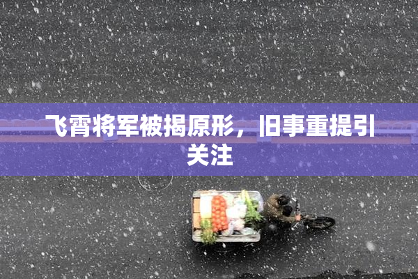 飞霄将军被揭原形，旧事重提引关注