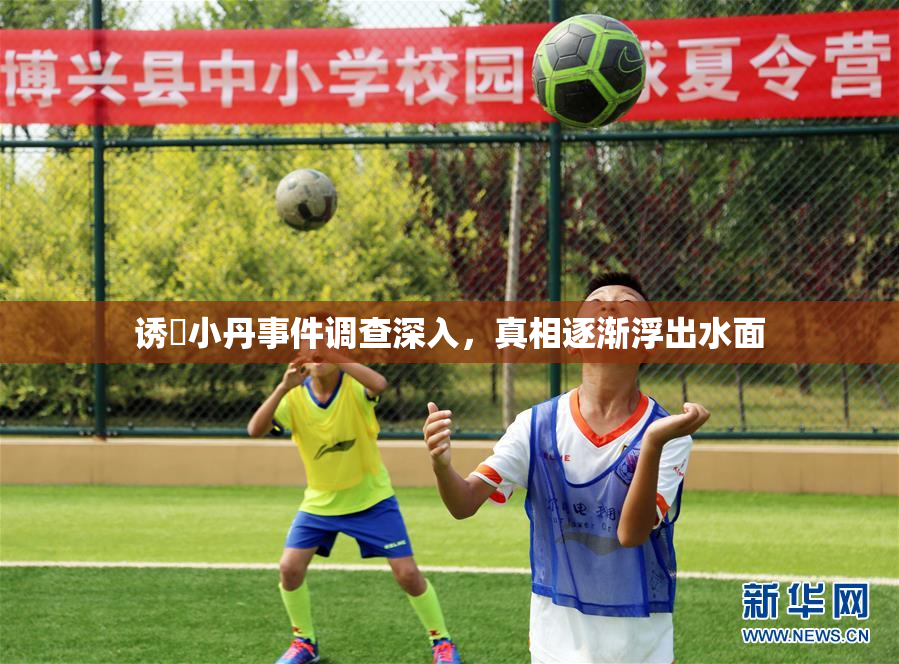 诱奷小丹事件调查深入，真相逐渐浮出水面