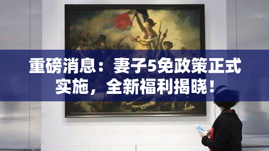 重磅消息：妻子5免政策正式实施，全新福利揭晓！