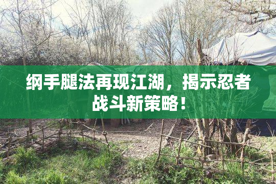 纲手腿法再现江湖，揭示忍者战斗新策略！