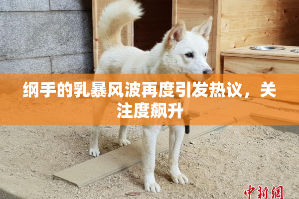 纲手的乳暴风波再度引发热议，关注度飙升