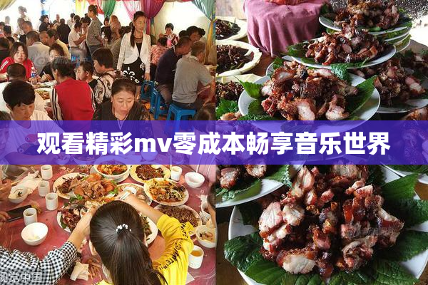 观看精彩mv零成本畅享音乐世界
