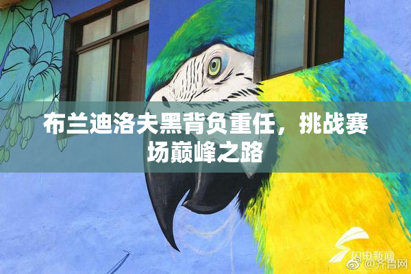 布兰迪洛夫黑背负重任，挑战赛场巅峰之路