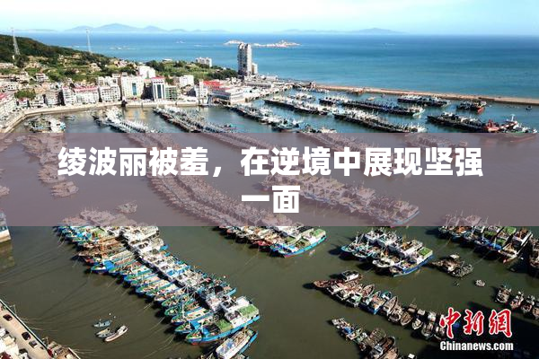 绫波丽被羞，在逆境中展现坚强一面