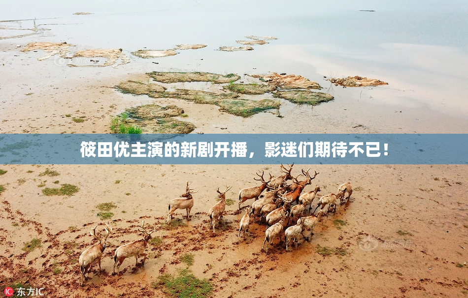 筱田优主演的新剧开播，影迷们期待不已！