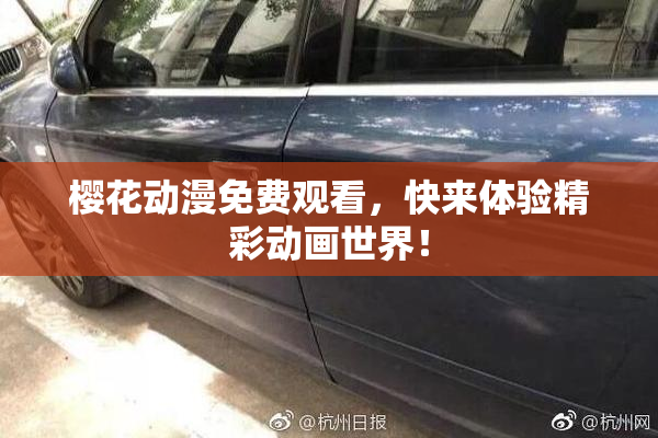 樱花动漫免费观看，快来体验精彩动画世界！