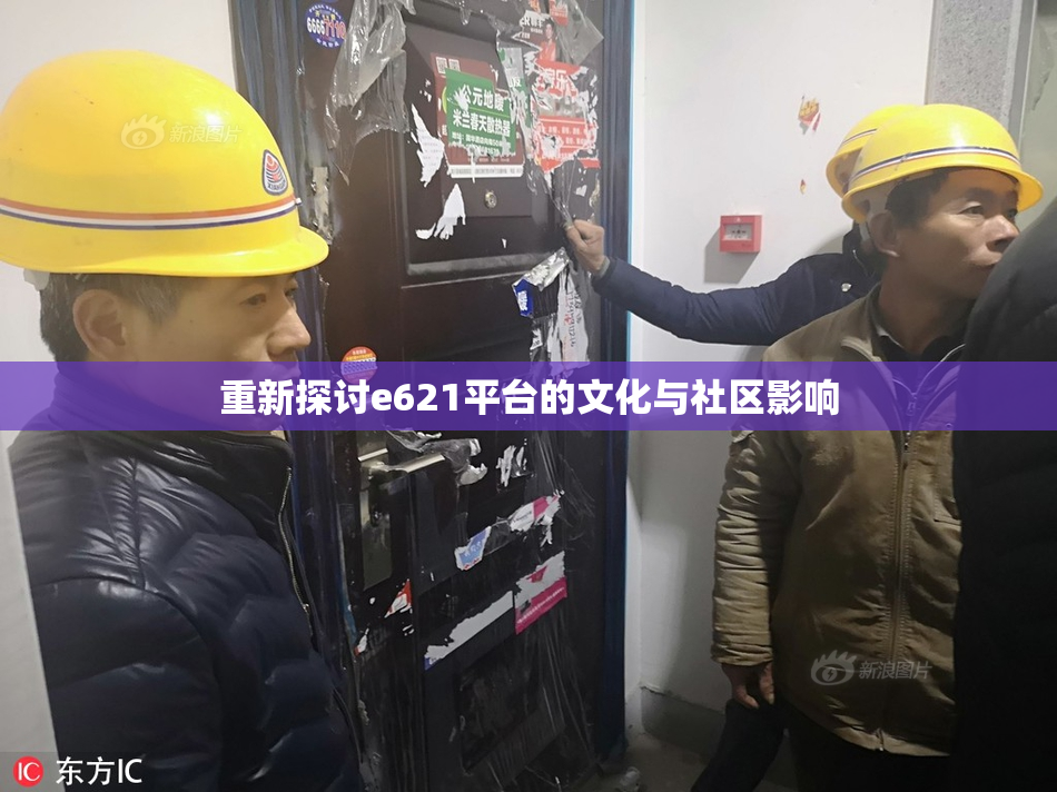 重新探讨e621平台的文化与社区影响