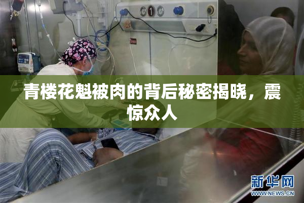青楼花魁被肉的背后秘密揭晓，震惊众人