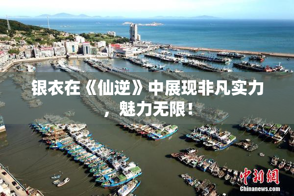 银衣在《仙逆》中展现非凡实力，魅力无限！