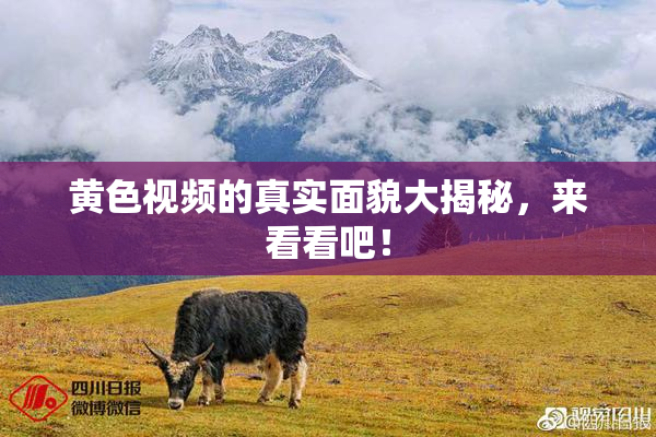 黄色视频的真实面貌大揭秘，来看看吧！