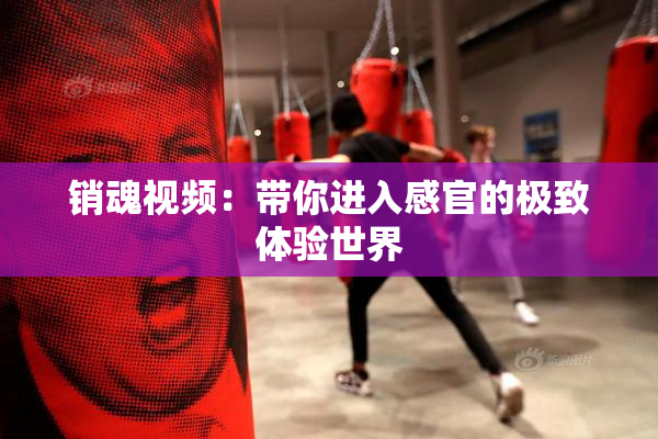 销魂视频：带你进入感官的极致体验世界