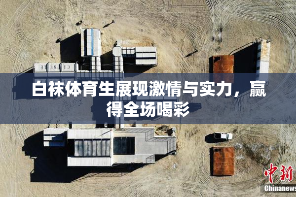 白袜体育生展现激情与实力，赢得全场喝彩